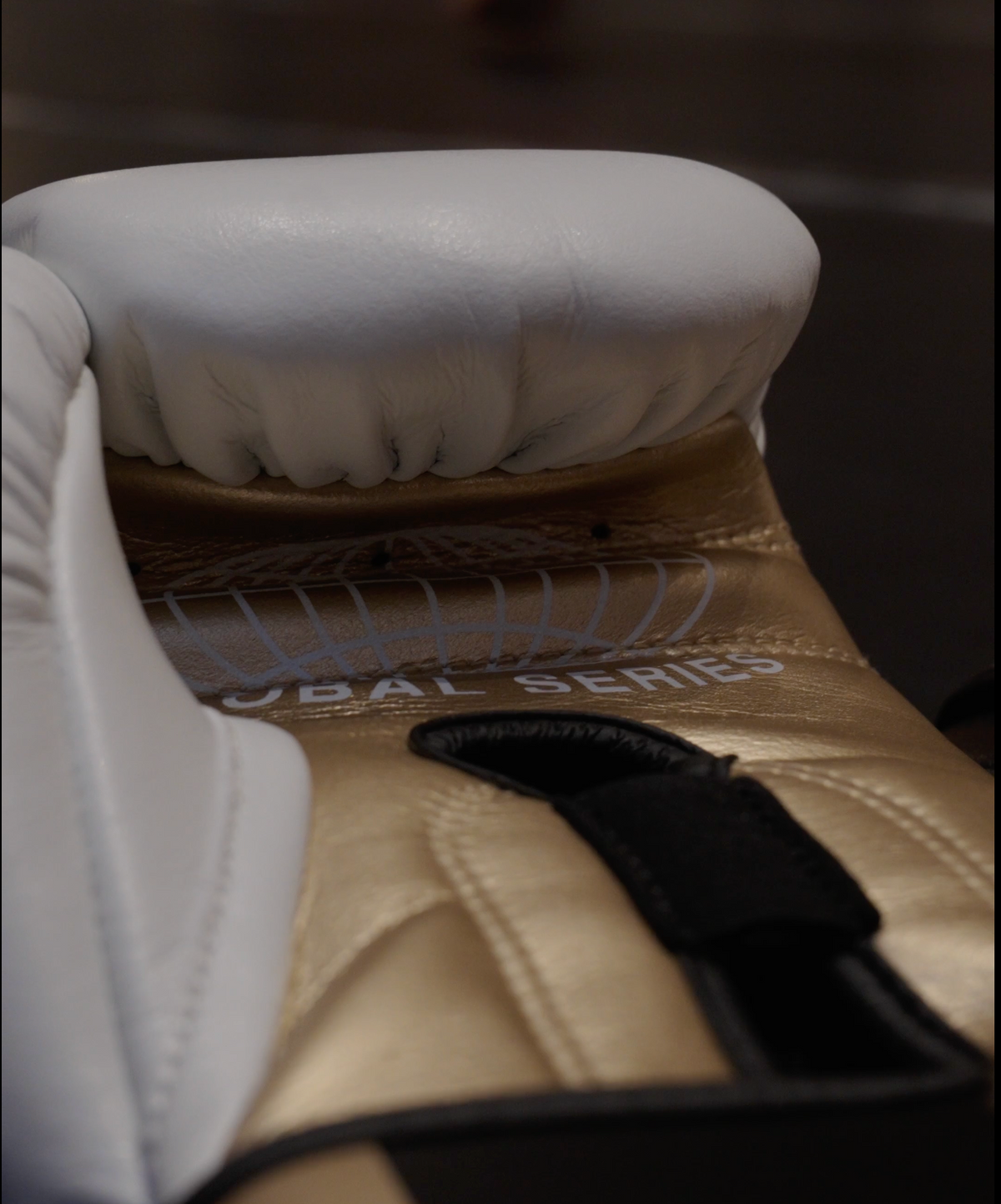 Fightgear